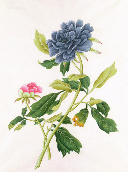 Floral for Jahrriesnge flowers-lpf07045 Compatible Floral Jahrriesnge for flowers-lpf07045