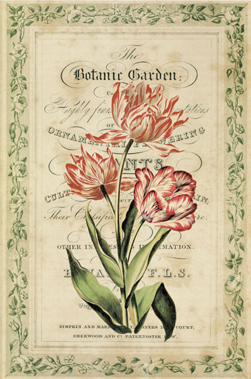 Floral for Jahrriesnge flowers-lpf07085 Compatible Floral Jahrriesnge for flowers-lpf07085
