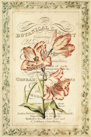 Floral for JAHRRIESNGE flowers-lpf07086 Compatible Floral JAHRRIESNGE for flowers-lpf07086
