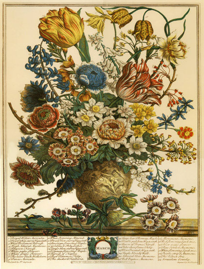 Floral for Jahrriesnge flowers-lpf07090 Compatible Floral Jahrriesnge for flowers-lpf07090
