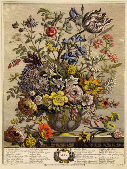 Floral for Jahrriesnge flowers-lpf07092 Compatible Floral Jahrriesnge for flowers-lpf07092