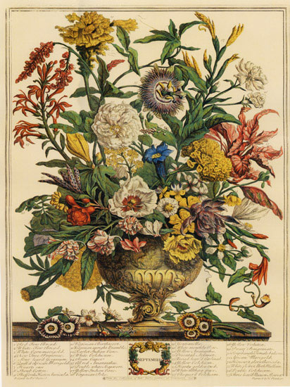 Floral for Jahrriesnge flowers-lpf07094 Compatible Floral Jahrriesnge for flowers-lpf07094