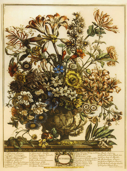 Floral for Jahrriesnge flowers-lpf07095 Compatible Floral Jahrriesnge for flowers-lpf07095