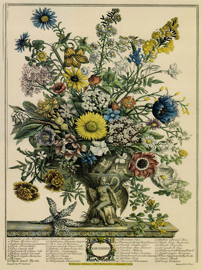 Floral for JAHRRIESNGE flowers-lpf07096 Compatible Floral JAHRRIESNGE for flowers-lpf07096
