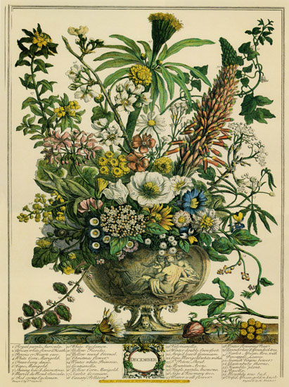 Floral for Jahrriesnge flowers-lpf07097 Compatible Floral Jahrriesnge for flowers-lpf07097