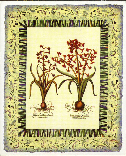 Floral for Jahrriesnge flowers-lpf07099 Compatible Floral Jahrriesnge for flowers-lpf07099