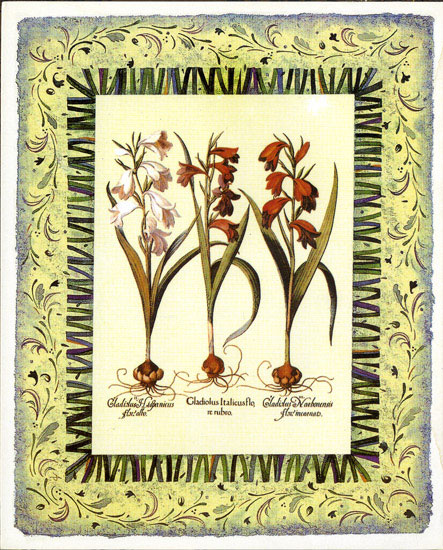 Floral for Jahrriesnge flowers-lpf07100 Compatible Floral Jahrriesnge for flowers-lpf07100