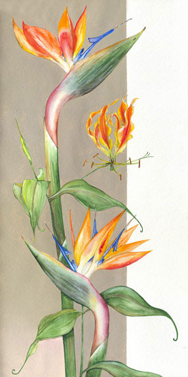 Floral for Jahrriesnge flowers-lpf07106 Compatible Floral Jahrriesnge for flowers-lpf07106