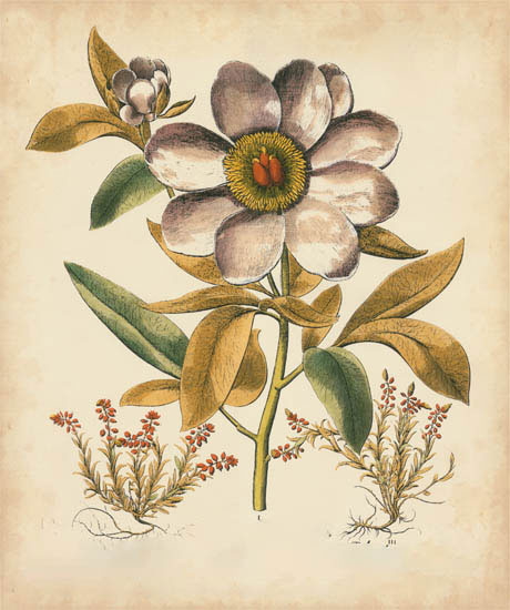 Floral for Jahrriesnge flowers-lpf07109 Compatible Floral Jahrriesnge for flowers-lpf07109