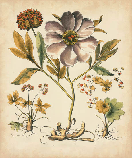 Floral for Jahrriesnge flowers-lpf07110 Compatible Floral Jahrriesnge for flowers-lpf07110