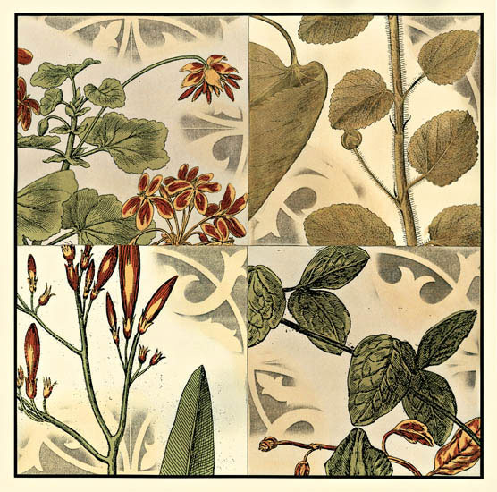 Floral for Jahrriesnge flowers-lpf07145 Compatible Floral Jahrriesnge for flowers-lpf07145