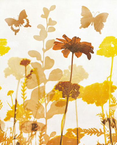 Floral for JAHRRIESNGE flowers-lpf07155 Compatible Floral JAHRRIESNGE for flowers-lpf07155