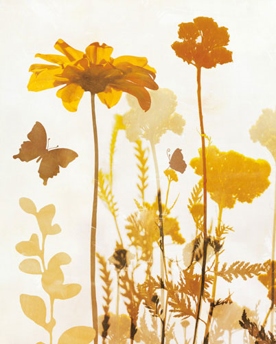 Floral for Jahrriesnge flowers-lpf07156 Compatible Floral Jahrriesnge for flowers-lpf07156