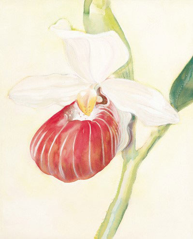 Floral for Jahrriesnge flowers-lpf07175 Compatible Floral Jahrriesnge for flowers-lpf07175