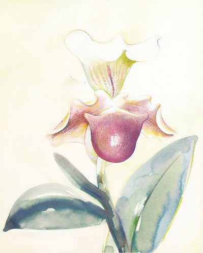 Floral for Jahrriesnge flowers-lpf07176 Compatible Floral Jahrriesnge for flowers-lpf07176