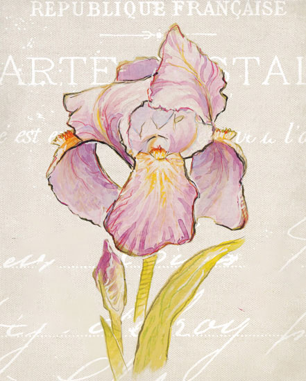 Floral for Jahrriesnge flowers-lpf07178 Compatible Floral Jahrriesnge for flowers-lpf07178