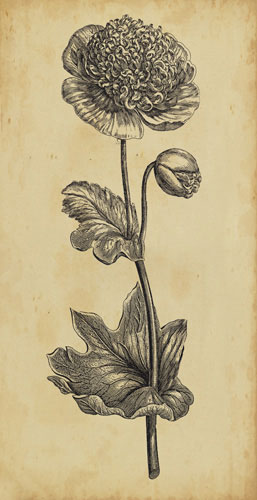 Floral for Jahrriesnge flowers-lpf07201 Compatible Floral Jahrriesnge for flowers-lpf07201