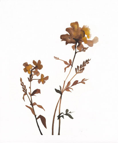 Floral for JAHRRIESNGE flowers-lpf07210 Compatible Floral JAHRRIESNGE for flowers-lpf07210