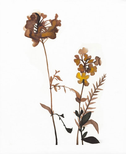 Floral for Jahrriesnge flowers-lpf07211 Compatible Floral Jahrriesnge for flowers-lpf07211