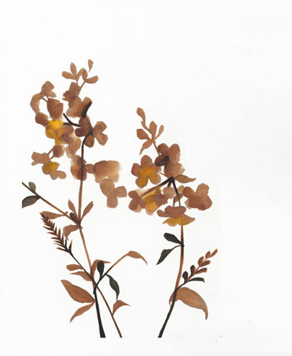 Floral for Jahrriesnge flowers-lpf07212 Compatible Floral Jahrriesnge for flowers-lpf07212