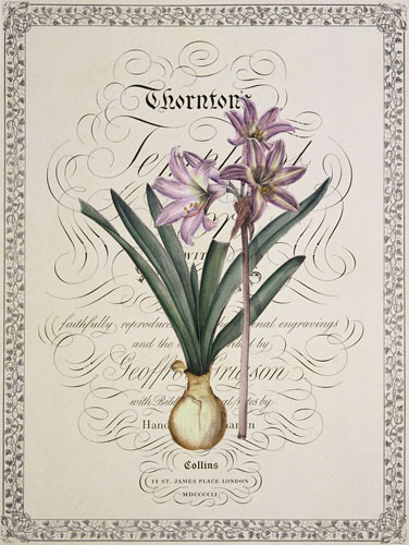 Floral for Jahrriesnge flowers-lpf07221 Compatible Floral Jahrriesnge for flowers-lpf07221