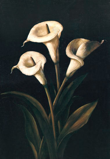 Floral for Jahrriesnge flowers-lpf07235 Compatible Floral Jahrriesnge for flowers-lpf07235