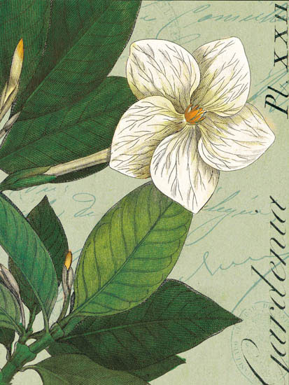 Floral for Jahrriesnge flowers-lpf07270 Compatible Floral Jahrriesnge for flowers-lpf07270