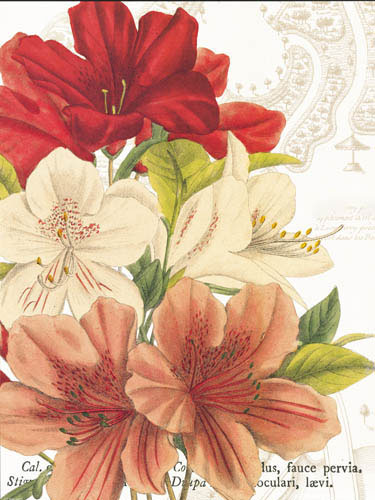 Floral for Jahrriesnge flowers-lpf07280 Compatible Floral Jahrriesnge for flowers-lpf07280