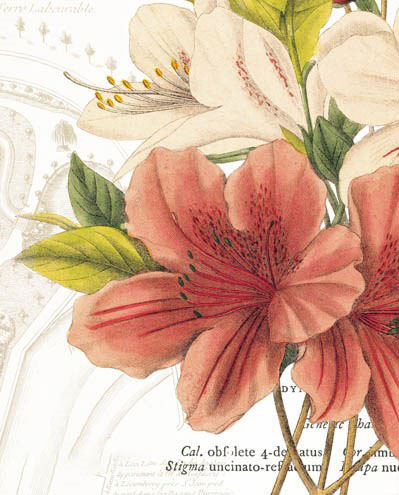 Floral for Jahrriesnge flowers-lpf07281 Compatible Floral Jahrriesnge for flowers-lpf07281