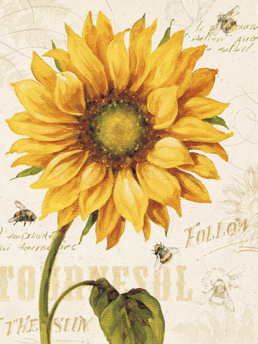 Floral for Jahrriesnge flowers-lpf07285 Compatible Floral Jahrriesnge for flowers-lpf07285