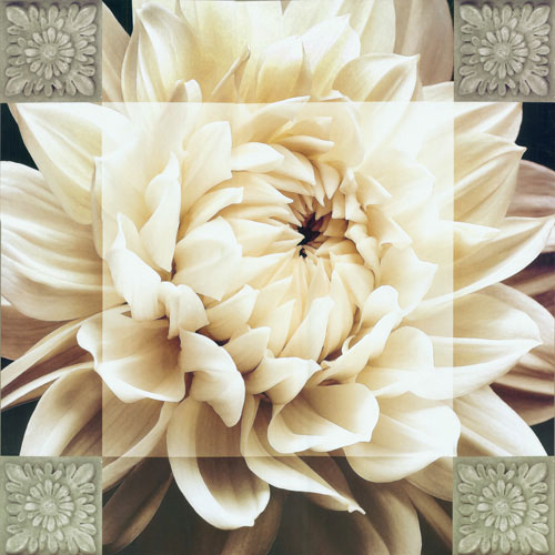 Floral for Jahrriesnge flowers-lpf07301 Compatible Floral Jahrriesnge for flowers-lpf07301