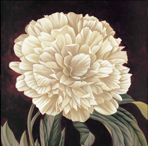 Floral for Jahrriesnge flowers-lpf07329 Compatible Floral Jahrriesnge for flowers-lpf07329