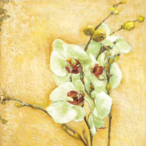 Floral for Jahrriesnge flowers-lpf07338 Compatible Floral Jahrriesnge for flowers-lpf07338