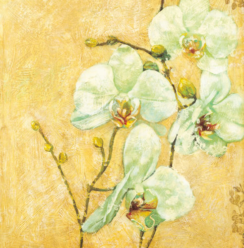 Floral for Jahrriesnge flowers-lpf07339 Compatible Floral Jahrriesnge for flowers-lpf07339