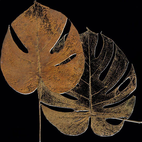 Floral for Jahrriesnge leaf-lpf07350 Compatible Floral Jahrriesnge for leaf-lpf07350