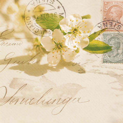 Floral for Jahrriesnge flowers-lpf07387 Compatible Floral Jahrriesnge for flowers-lpf07387