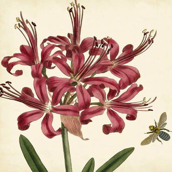 Floral for Jahrriesnge flowers-lpf07414 Compatible Floral Jahrriesnge for flowers-lpf07414