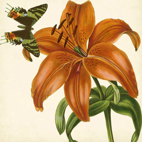 Floral for Jahrriesnge flowers-lpf07415 Compatible Floral Jahrriesnge for flowers-lpf07415
