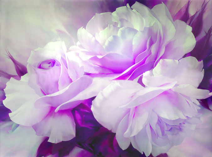 Floral for Jahrriesnge flowers-lpf07468 Compatible Floral Jahrriesnge for flowers-lpf07468
