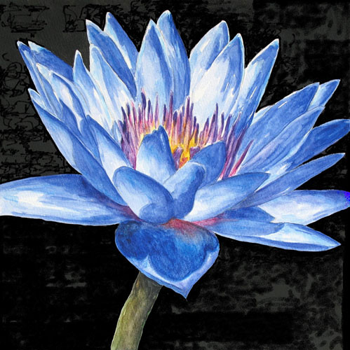 Floral for Jahrriesnge flowers-lpf07520 Compatible Floral Jahrriesnge for flowers-lpf07520