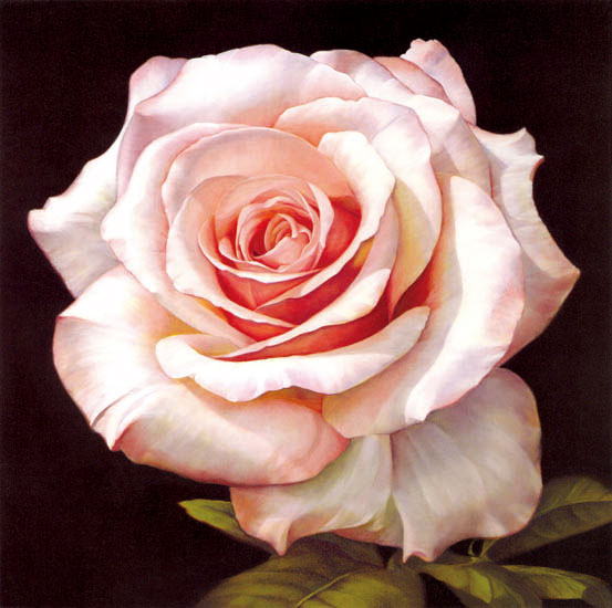 Floral for Jahrriesnge flowers-lpf07538 Compatible Floral Jahrriesnge for flowers-lpf07538