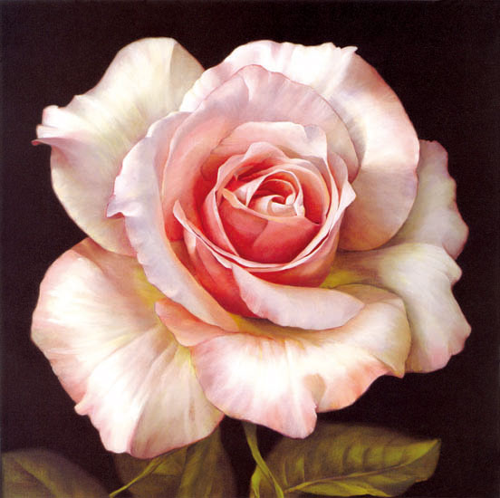 Floral for Jahrriesnge flowers-lpf07539 Compatible Floral Jahrriesnge for flowers-lpf07539