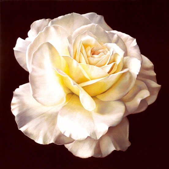 Floral for Jahrriesnge flowers-lpf07540 Compatible Floral Jahrriesnge for flowers-lpf07540