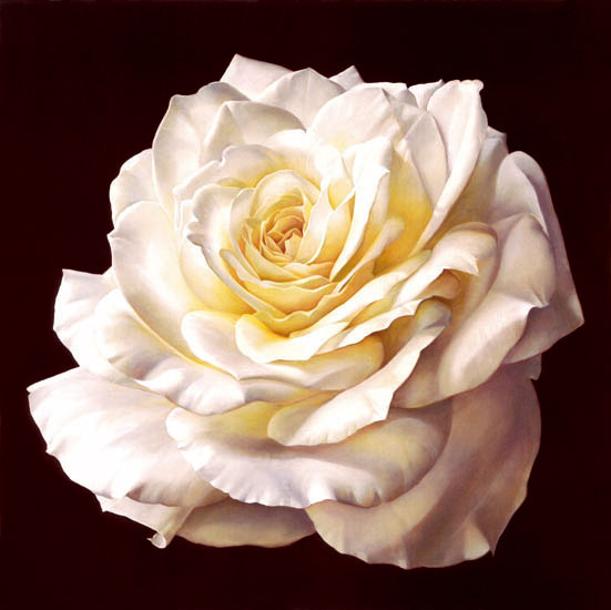 Floral for Jahrriesnge flowers-lpf07541 Compatible Floral Jahrriesnge for flowers-lpf07541