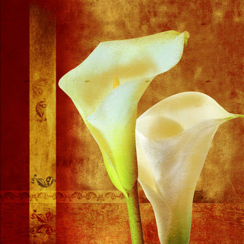 Floral for Jahrriesnge flowers-lpf07547 Compatible Floral Jahrriesnge for flowers-lpf07547
