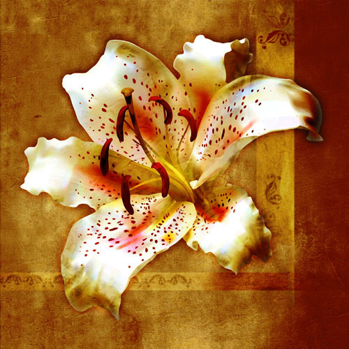Floral for Jahrriesnge flowers-lpf07548 Compatible Floral Jahrriesnge for flowers-lpf07548