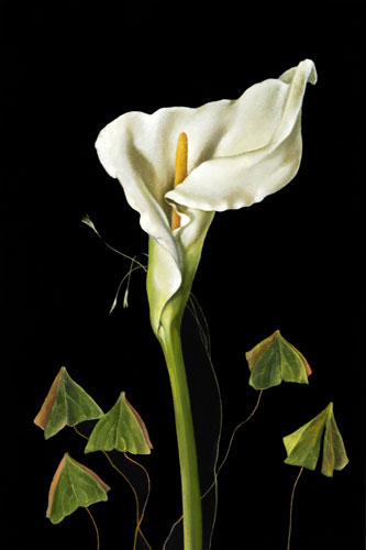 Floral for Jahrriesnge flowers-lpf07573 Compatible Floral Jahrriesnge for flowers-lpf07573