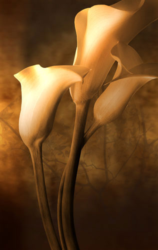 Floral for Jahrriesnge flowers-lpf07591 Compatible Floral Jahrriesnge for flowers-lpf07591