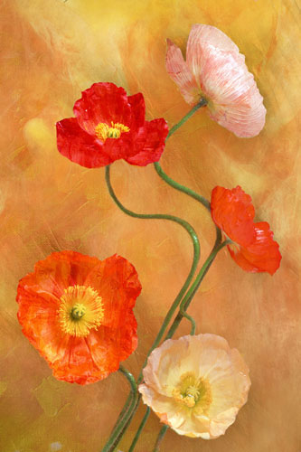 Floral for Jahrriesnge flowers-lpf07598 Compatible Floral Jahrriesnge for flowers-lpf07598