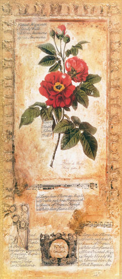 Floral for Jahrriesnge flowers lpf07723 Compatible Floral Jahrriesnge for flowers lpf07723